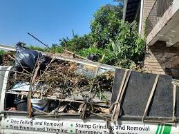 Best Shed Removal  in Shenandoah, TX